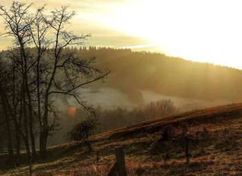 Scenic view of landscape against sky during sunset