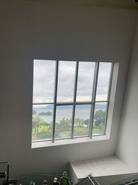Trees seen through glass window