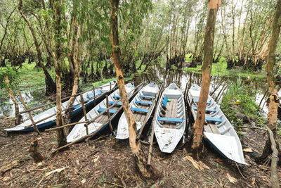 Boats moored in forest