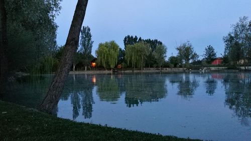 Reflection of trees in water against sky