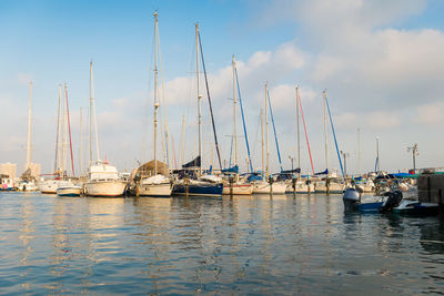 Sailboats moored in harbor