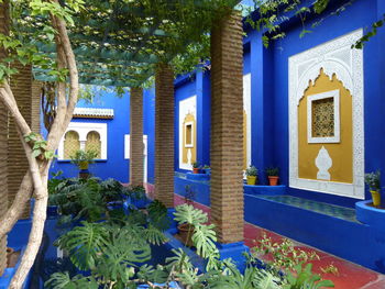 Potted plants and trees outside house