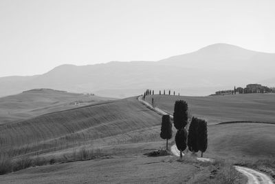 Scenic view of agricultural field against clear sky