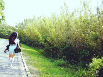 Rear view of woman walking on footpath by plants