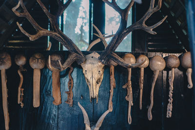 Close-up of clothes hanging on wooden fence