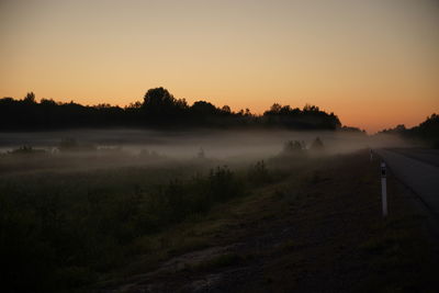 morning