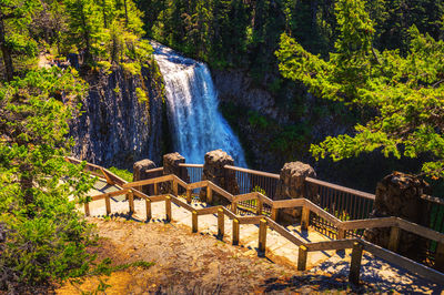 Scenic view of waterfall in forest