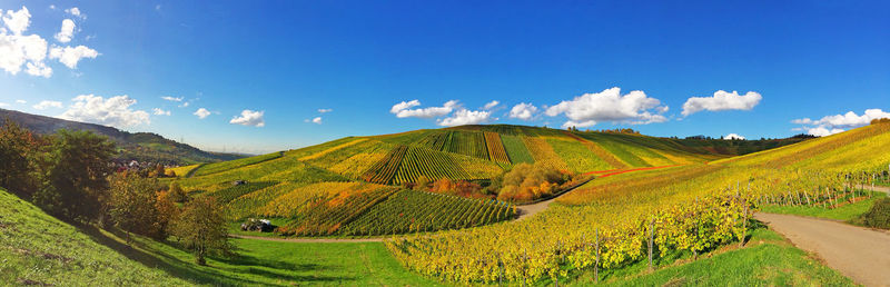 Scenic view of landscape against blue sky