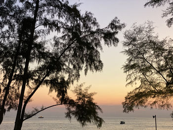 Silhouette trees by sea against sky during sunset