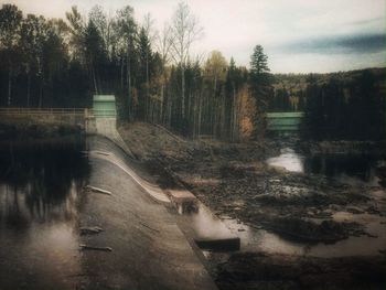 Scenic view of river by trees against sky