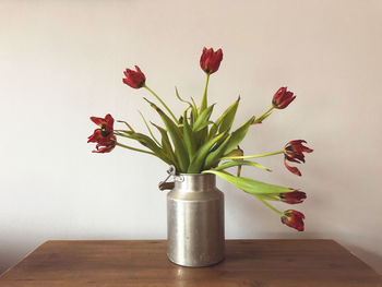 Close-up of red flower vase on table against wall