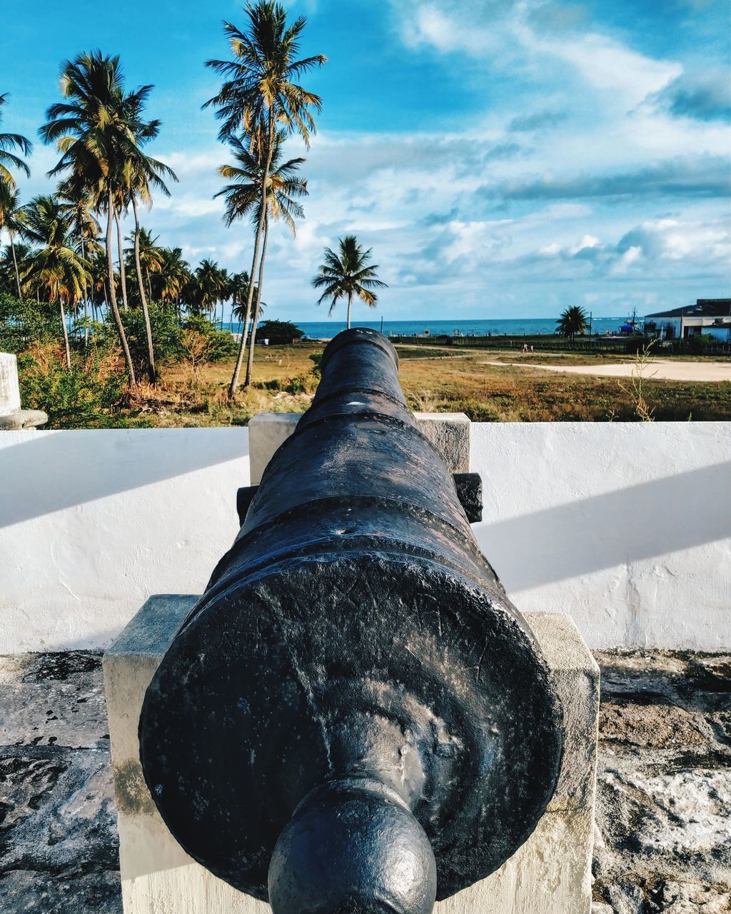 sky, palm tree, tree, plant, tropical climate, weapon, nature, cannon, cloud - sky, no people, day, conflict, metal, outdoors, war, water, fighting, architecture, land, history, wheel, coconut palm tree