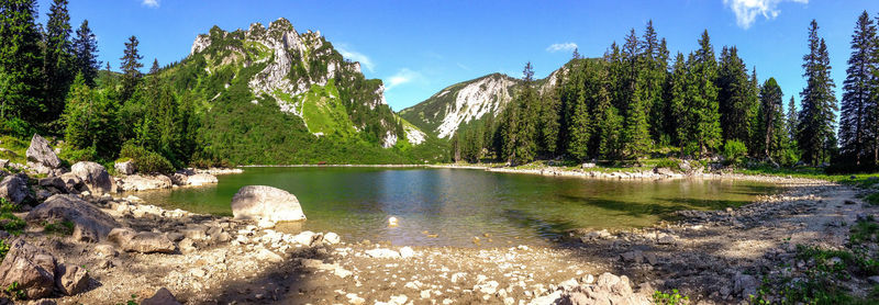 Scenic view of lake in forest against sky