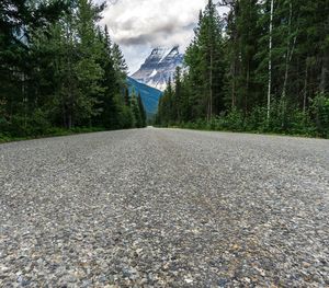 Surface level of road amidst trees against sky