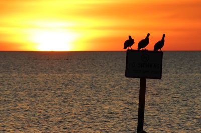 Information sign on beach against sky during sunset