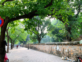 People on footpath amidst trees in city