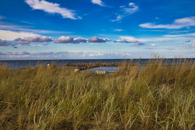 Scenic view of sea against sky