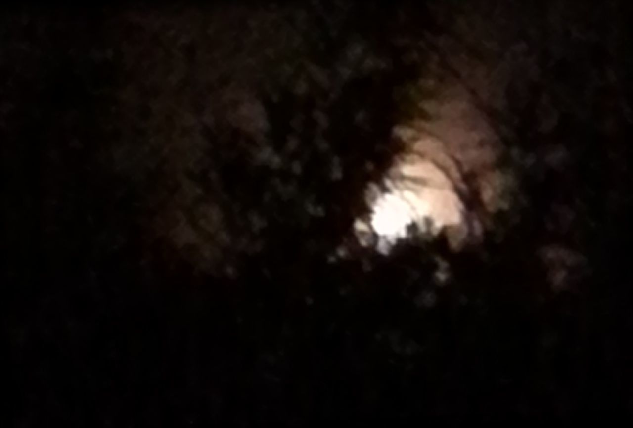 Moonlight outside my window