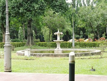 Fountain in park