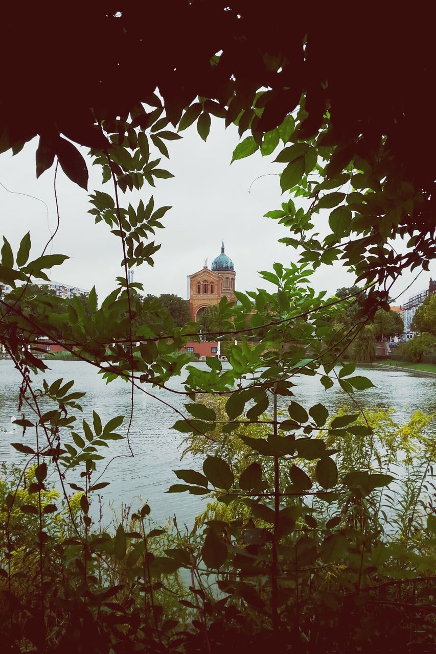 tree, water, built structure, building exterior, architecture, lake, reflection, branch, growth, sky, nature, river, plant, house, day, tranquility, waterfront, outdoors, no people, leaf