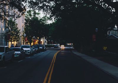 Empty road along trees