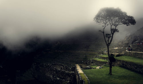 Scenic view of landscape against sky during foggy weather