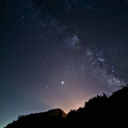 Low angle view of silhouette trees against sky at night