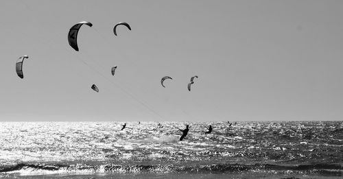 Silhouette birds flying over sea against clear sky