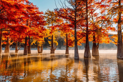 Scenic view of lake against sky during autumn