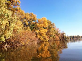 Trees by lake against sky during autumn