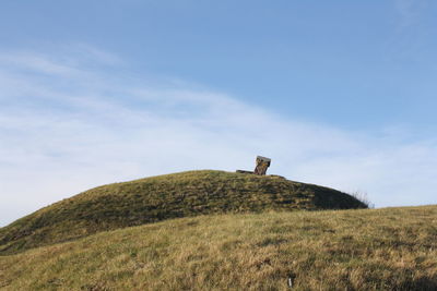 Grass on landscape against sky