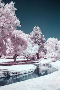 Snow covered trees by frozen lake against sky