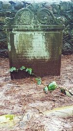 Close-up of abandoned building