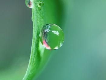 green