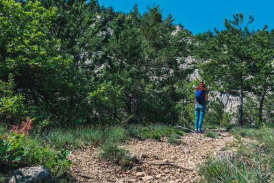 Side view of man standing by trees in forest