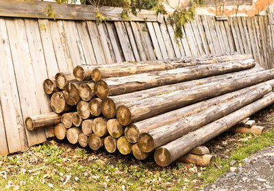 Chopped trees lie in a pile on the grass, firewood