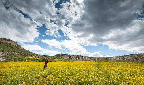 Young woman happy with raised arms in the field with yellow marguerite flowers in spring