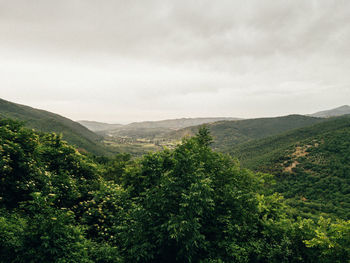 nature