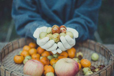 High angle view of man holding fruits