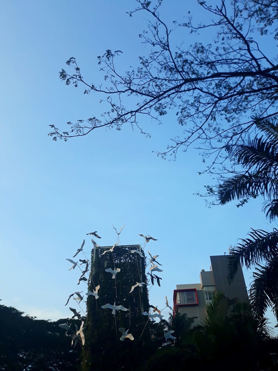 LOW ANGLE VIEW OF TREE AND BUILDINGS AGAINST SKY