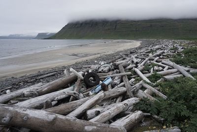 Scenic view of beach against sky