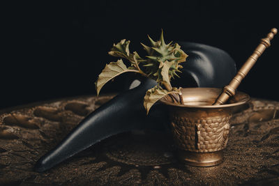 Close-up of potted plant on table