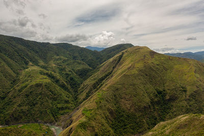 Green rainforest and jungle in the mountains of philippines view from above.