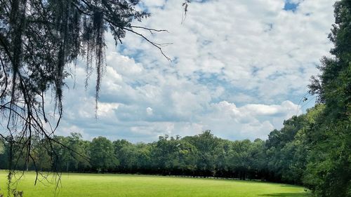Scenic view of grassy field against cloudy sky