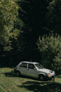 Car on road amidst trees on field