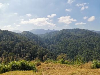 Scenic view of landscape against sky