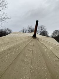 Top of umbrella during rainy day walk in the park in new york city, brooklyn 