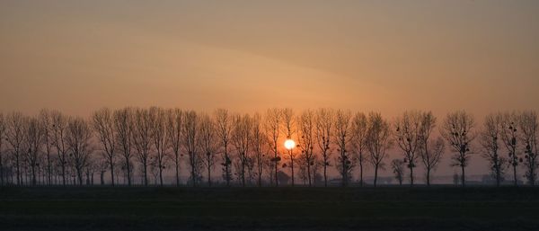 Silhouette trees against sky during sunset