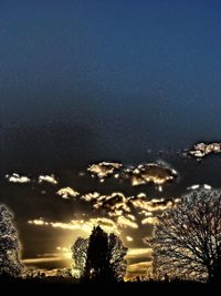 Low angle view of silhouette trees against sky at night