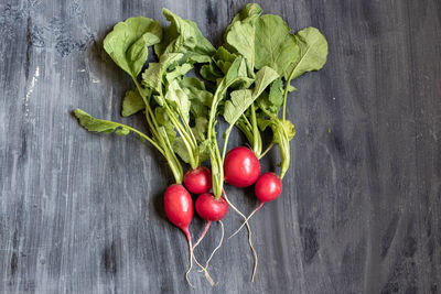 High angle view of tomatoes on table